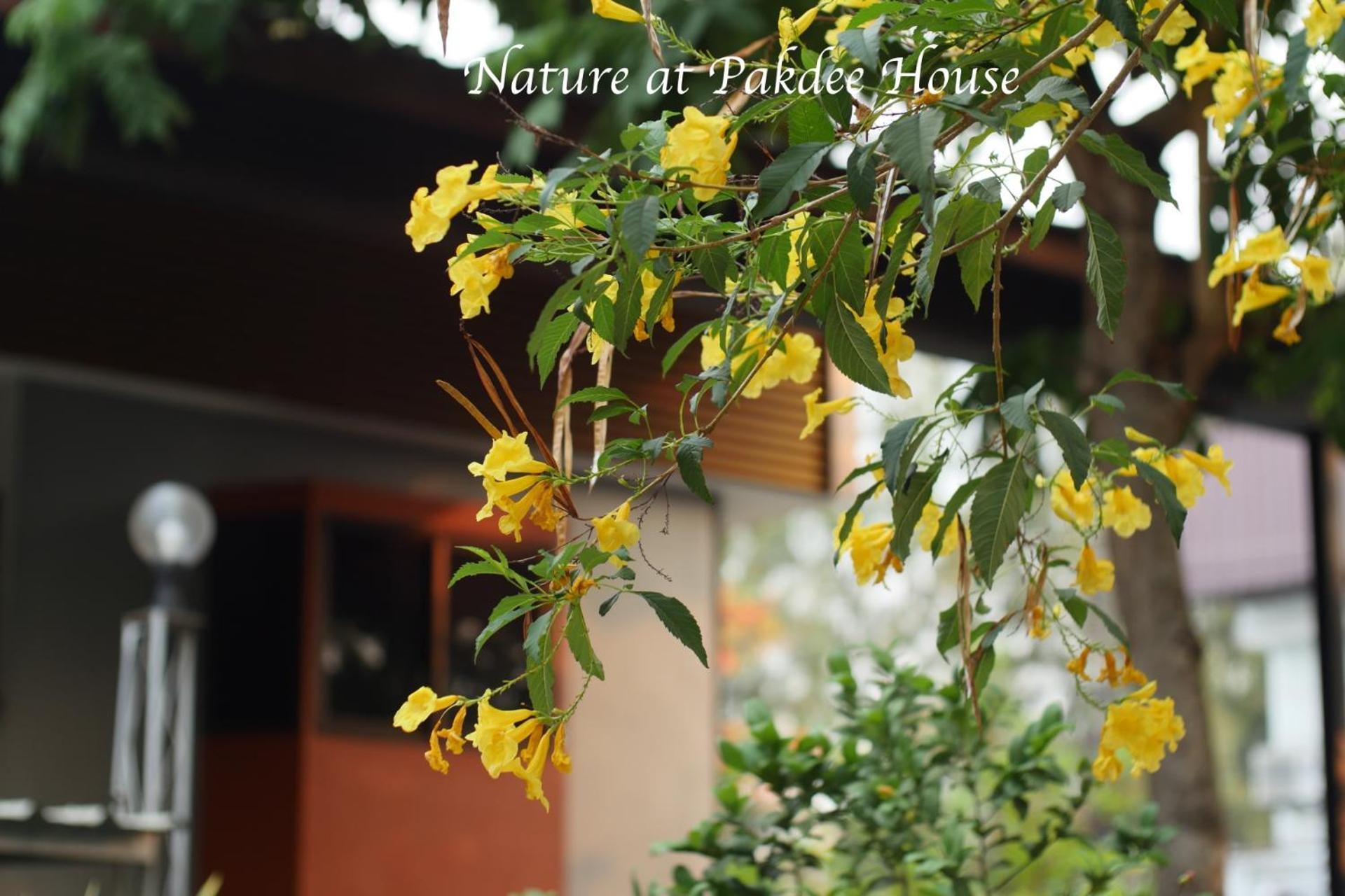 Hotel Pakdee House Udon Thani Exterior foto